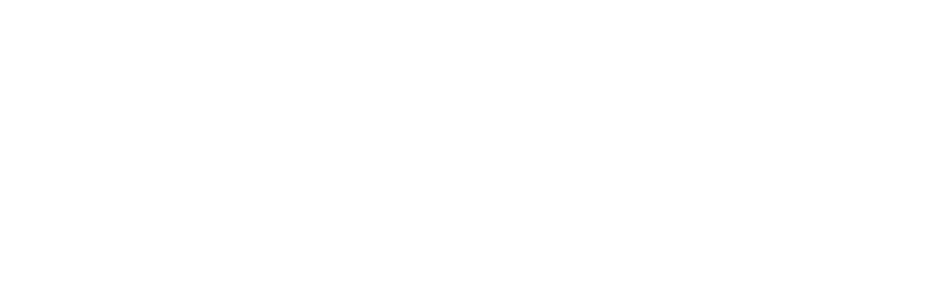 Viva Academy